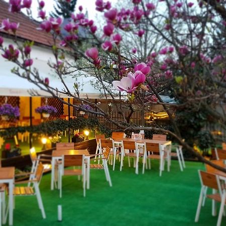 Casa Andreea Hotel Brasov Bagian luar foto