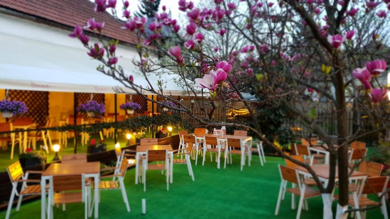 Casa Andreea Hotel Brasov Bagian luar foto